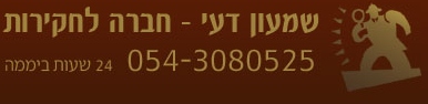 שמעון דעי - חברה לחקירות