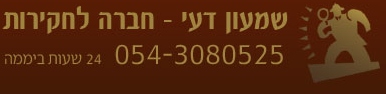 שמעון דעי - חברה לחקירות